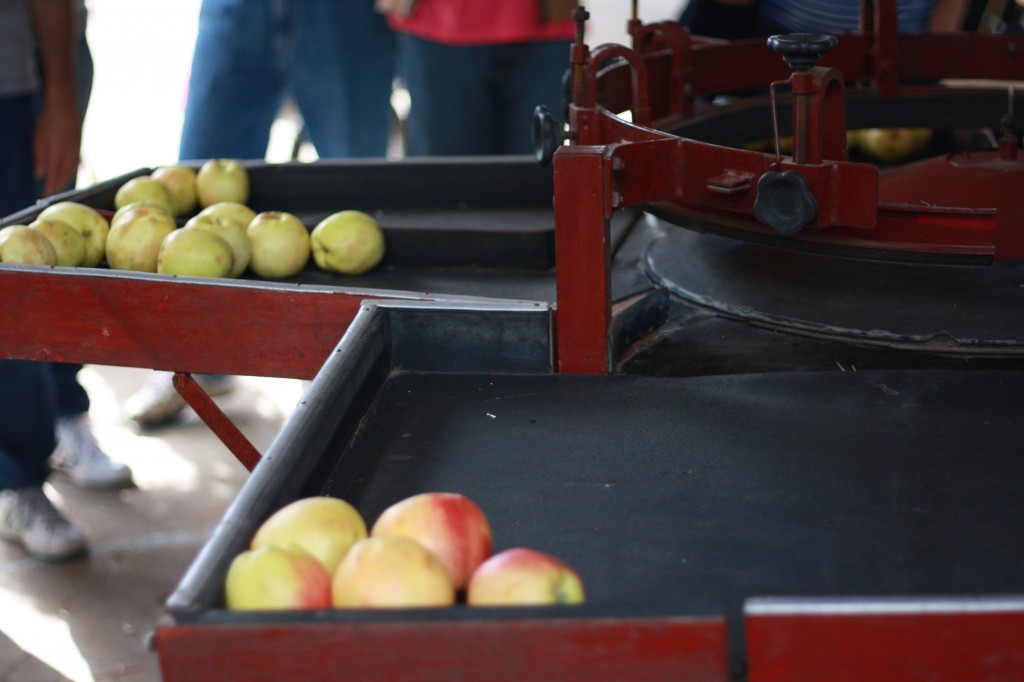 Apple Sorter