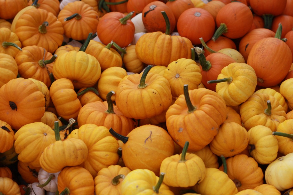 Pumpkins