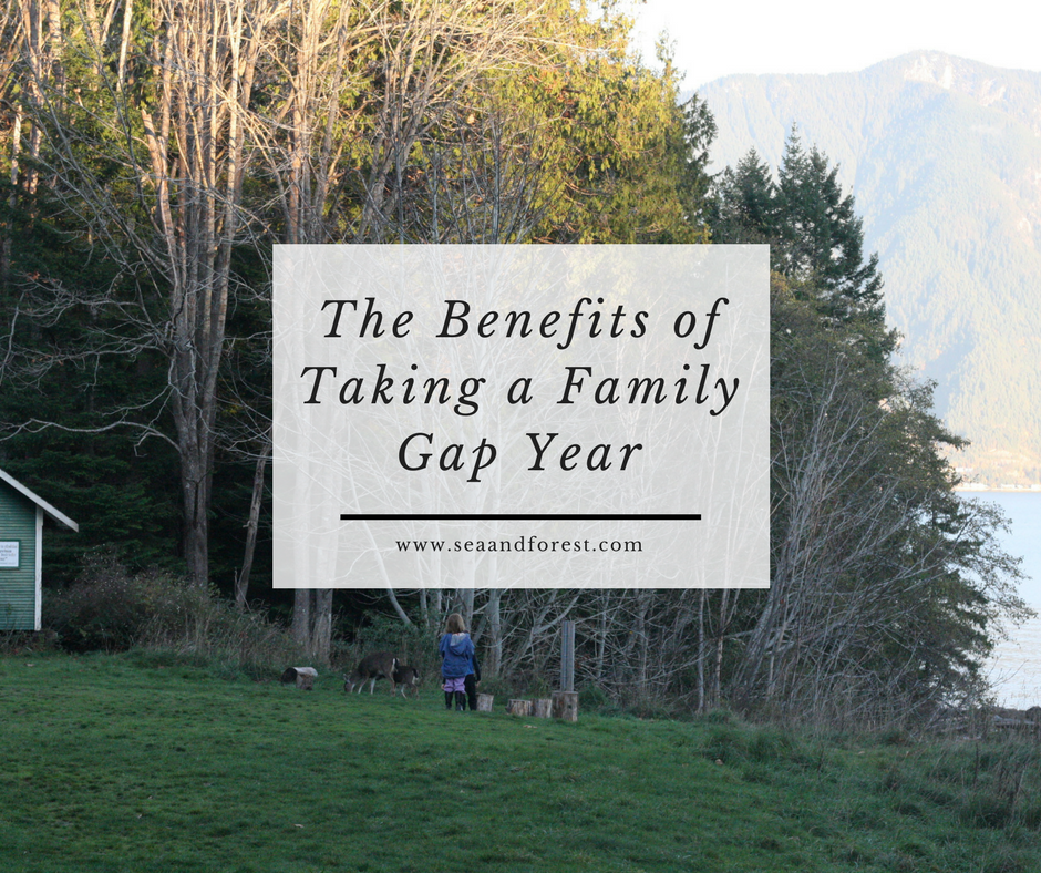 The Benefits of Taking a Family Gap Year