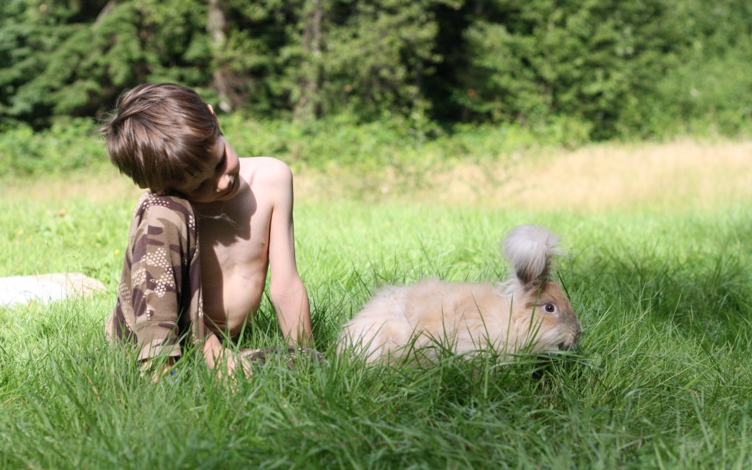 July 19th – A  Boy & His Bunny {Everyday Beauty}